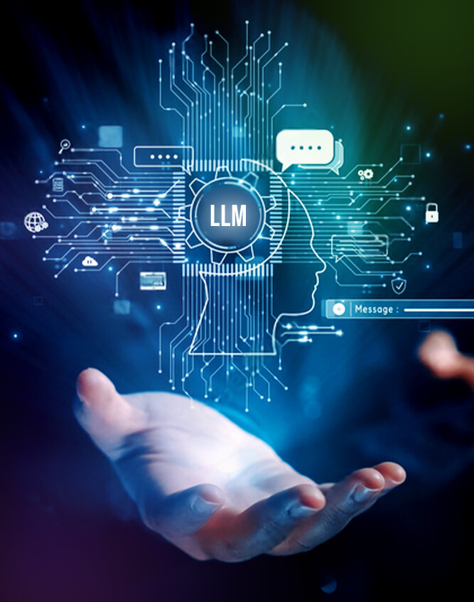 LLM Development