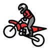 Motorsports