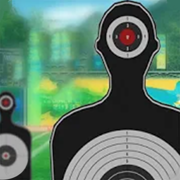 Rifle shooting aimulator 3D