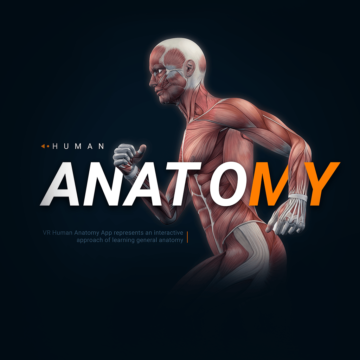 Human Anatomy