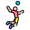 Volleyball